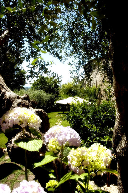 Locanda Delle Mura Anna De Croy Magliano in Toscana Exterior foto